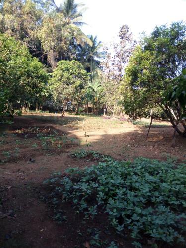 Mandrem Restzone 4bhk