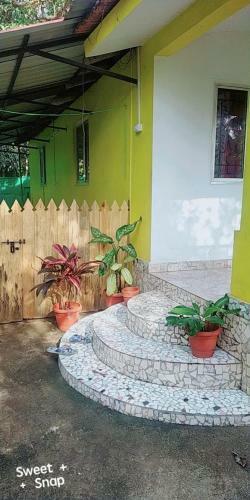 Dacklo's Guest House