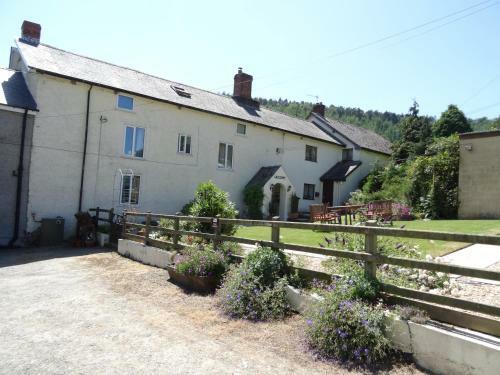 Bed & Breakfast Middle Woodbatch Farm