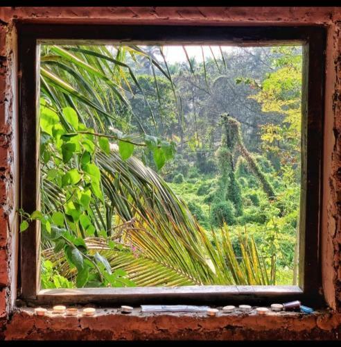 The Tiny House Goa