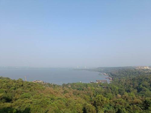 Rio De Goa, Pool View Studio Apartment