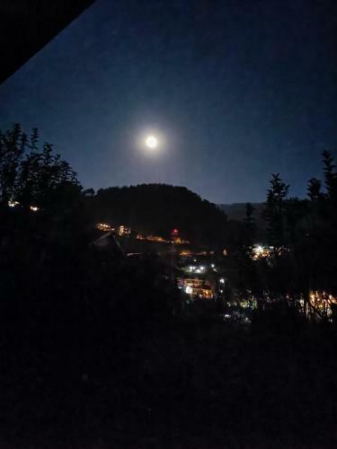 Naggar Homestay