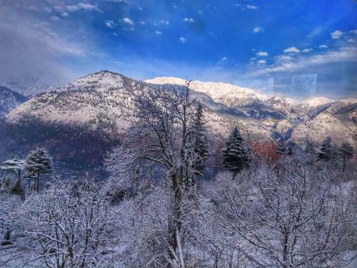Rustling Pines Cottage Manali