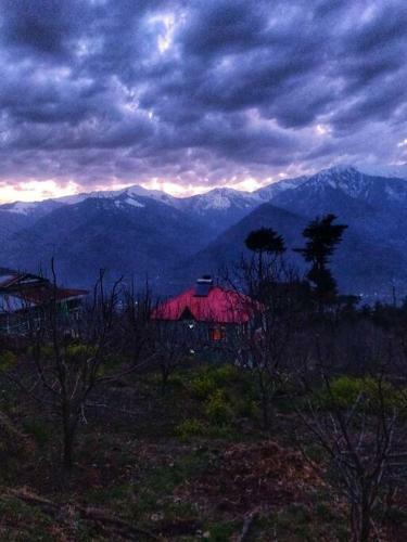 Rustling Pines Cottage Manali