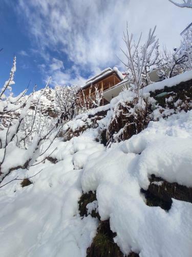 Before Sunrise Cabin