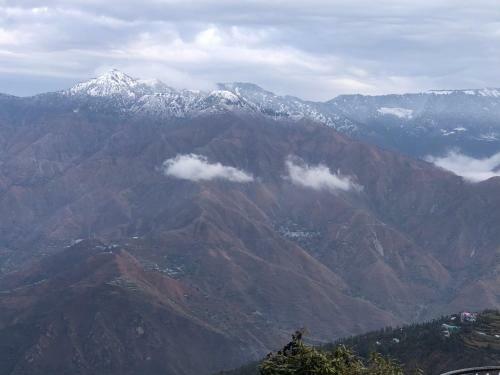 Bed & Breakfast Pushp Home Stay