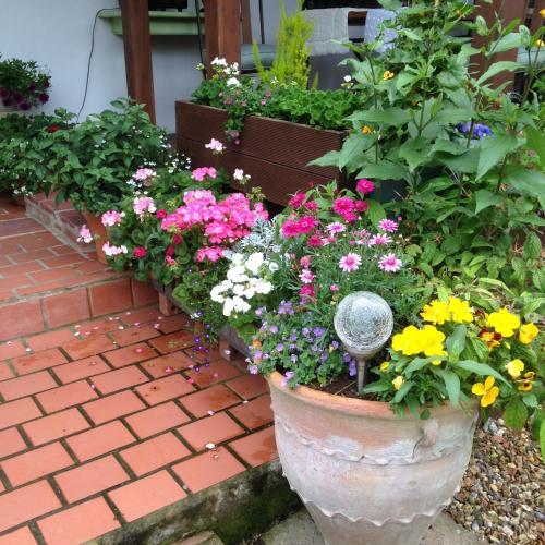 Hostal Pinetree Lodge Druridge Bay