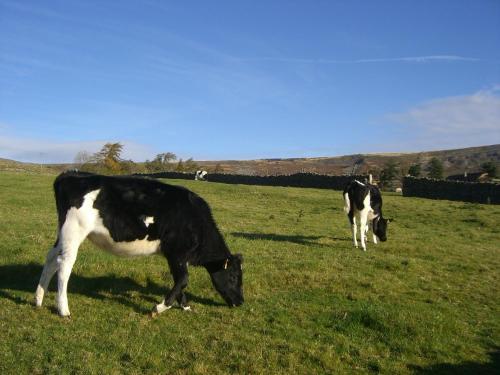 Hostal Arkleside Country Guest House