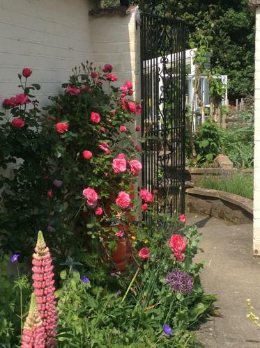 Bed & Breakfast Woodgate Farm