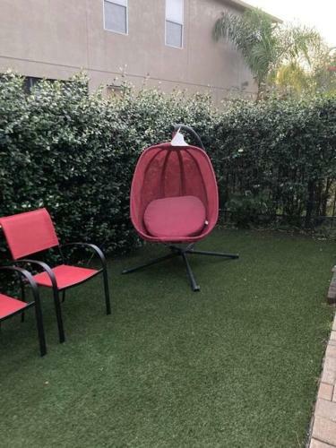 Catch N' Relax
