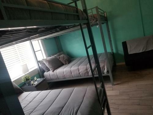 Ybor Newly Remodel Retreat