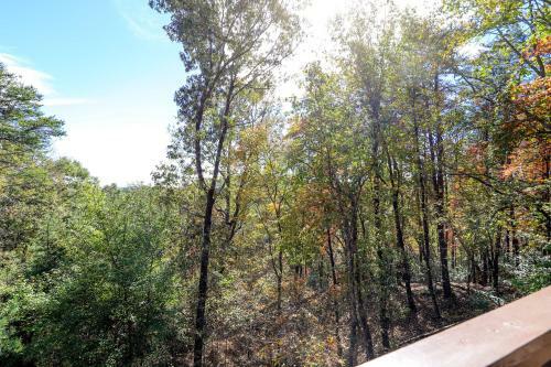 4 Seasons