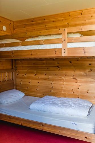 Alevi Camping