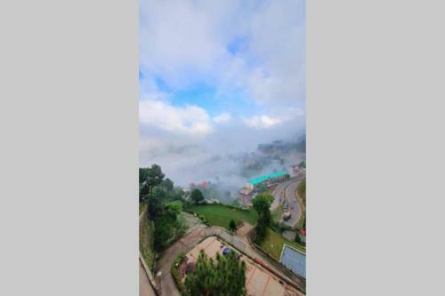 Entire Apartment , Near Kasauli Nature View