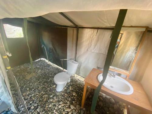 Hotel Lushy Days Boom Camp