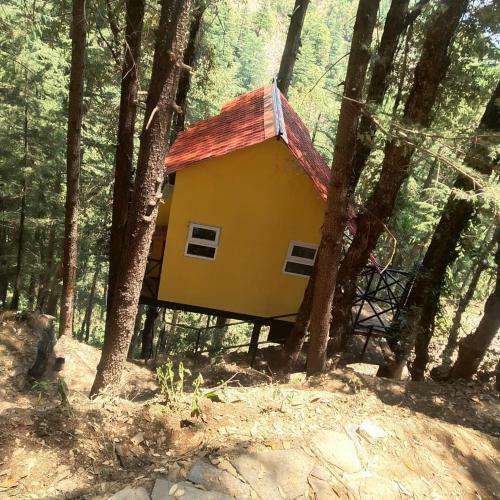 The Dreamers Nest