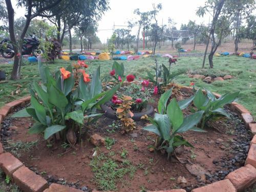 Harmony Farm Stay