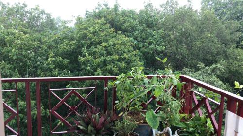 Sri Balaji Residency (Ac) 2 Bhk Apartment