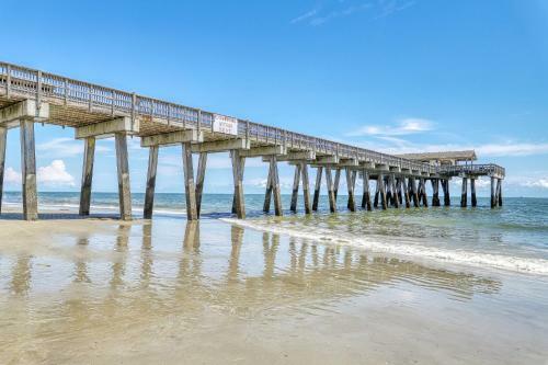Tybee Blue Cat