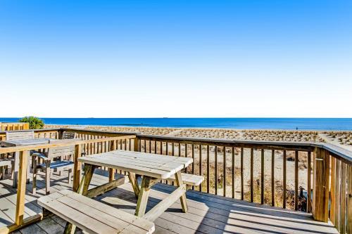 Tybee Stars