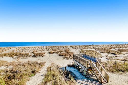 Tybee Stars