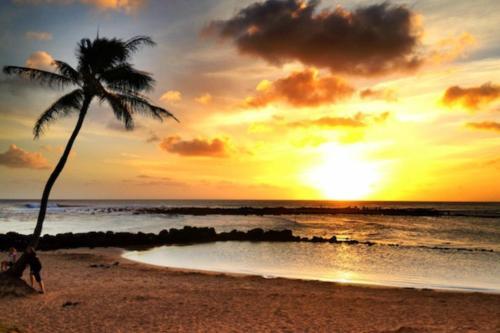 Pili Aloha