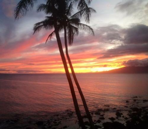 Turtle Cove Home