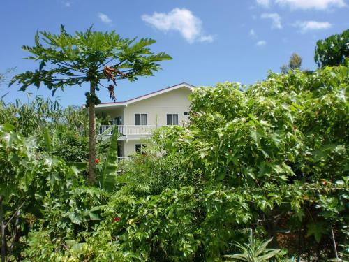 Hostal Bears' Place Guest House