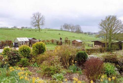 The Stable