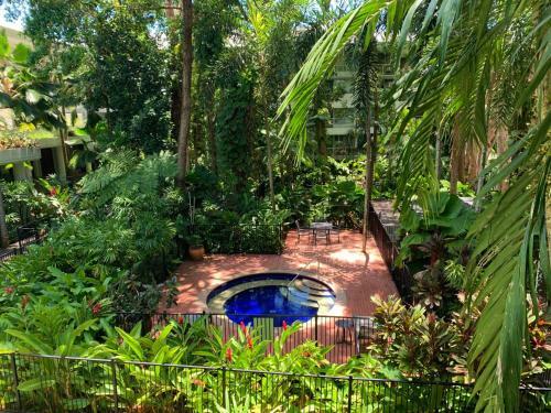 Palm Cove Beachside Apartment - Pool And Garden View