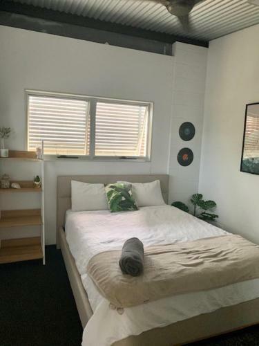 Collins Chill