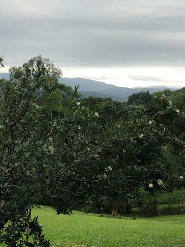 Daintree Valley Cottage