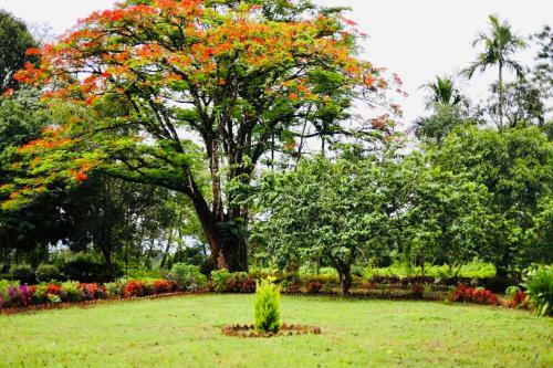 Tea Planters Bungalow
