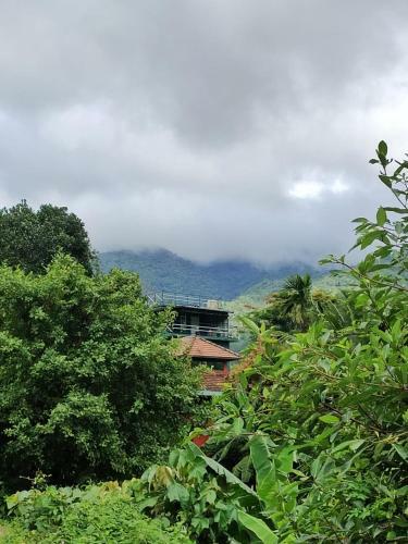 Moonlight Homestay