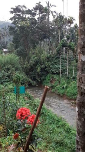River View Homestay