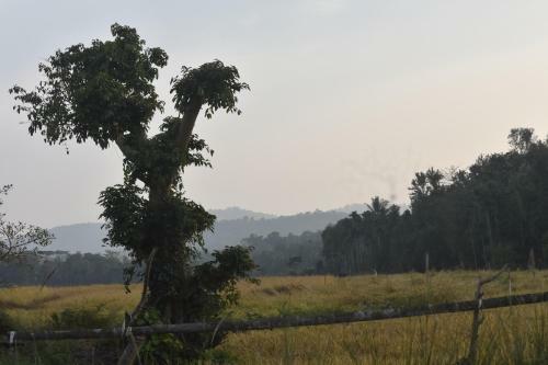 Apartamento Janu's Homestay
