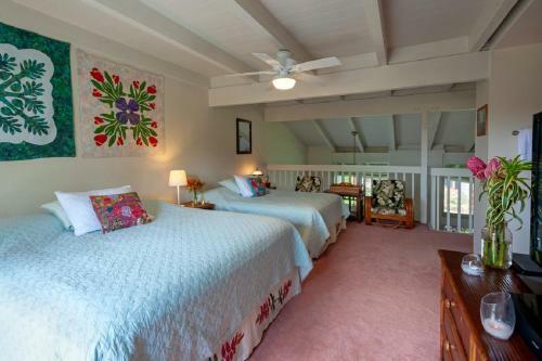 Apartamento Puamana 9c-hike To Anini Beach, Updated With Ac, Pool, Bbq
