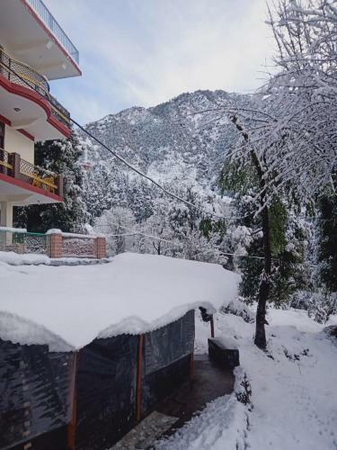 Zula Cafe And Guest House