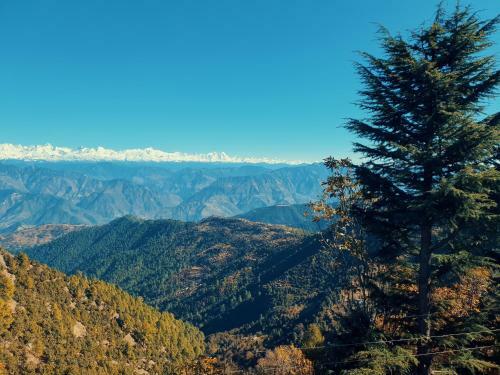 The Himalayan Aleph, Kanatal