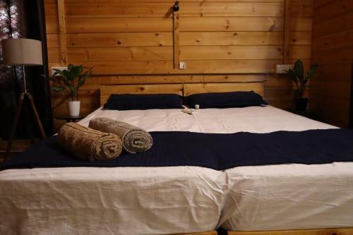 Bed & Breakfast Green Chromide River View Wooden House