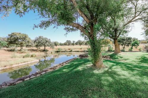 Stylish Waterfront Townhouse With Boat Slip, Pet Friendly