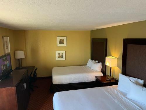 Hotel Hutchi Bell