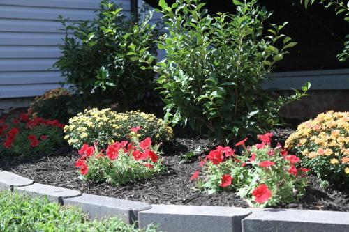 The Orange Door-sleeps 10