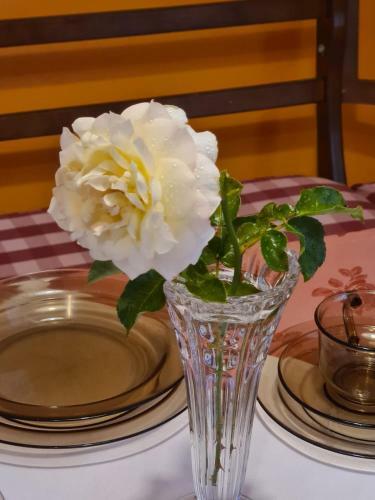 Hostal Bei Chogman