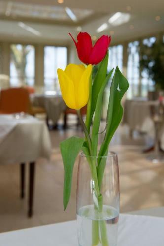 The Old Vicarage Hotel & Restaurant