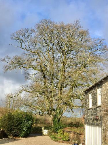 Park Farmhouse Bed And Breakfast