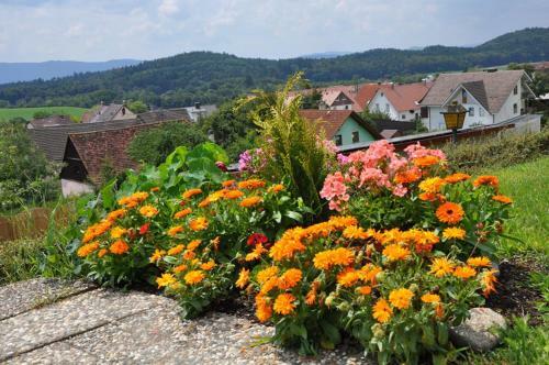 Hotel Gasthof Adler G�ttingen