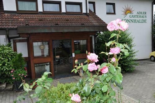 Hotel Gasthof Adler G�ttingen