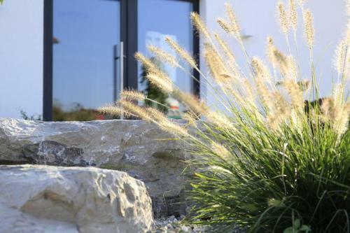Apartamento Wohnen Am Bach