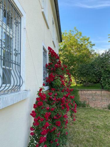 Hotel Schloss Hainfeld